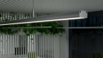 Lumines profile type Sileda lacquered white, 1 m
